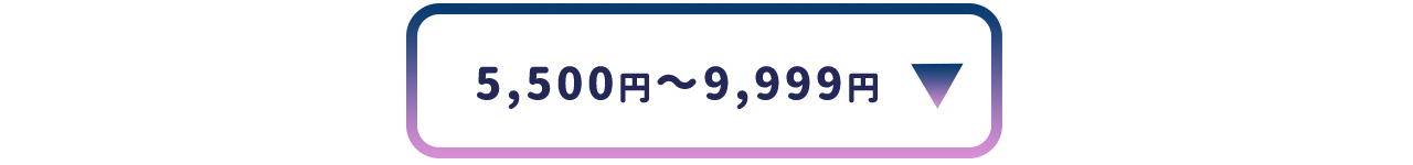 5,500円～9,999円
