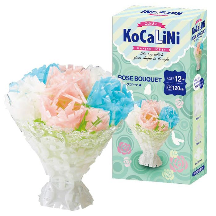 KoCaLiNi(コカリニ) | ウッディプッディ